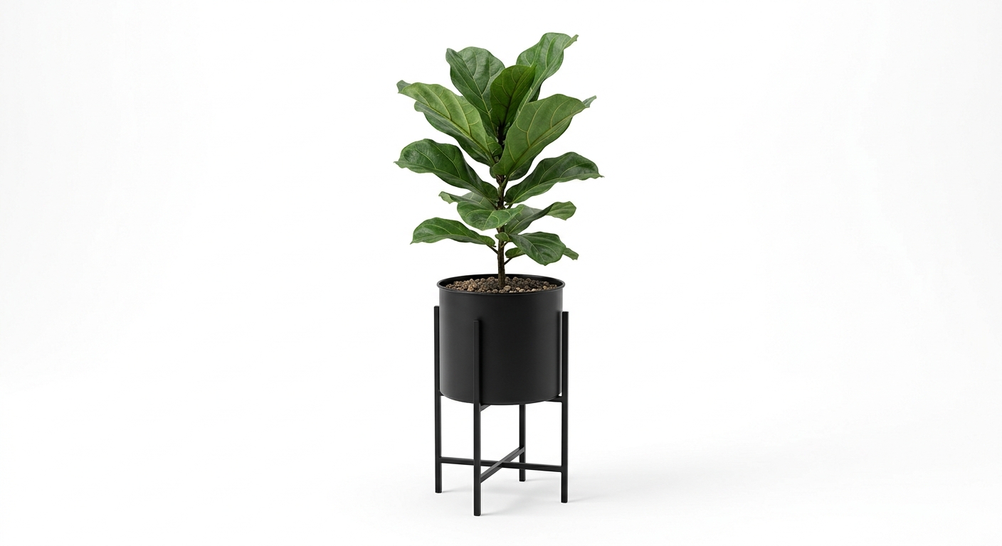 Scandinavian floor plant (Black Metal)