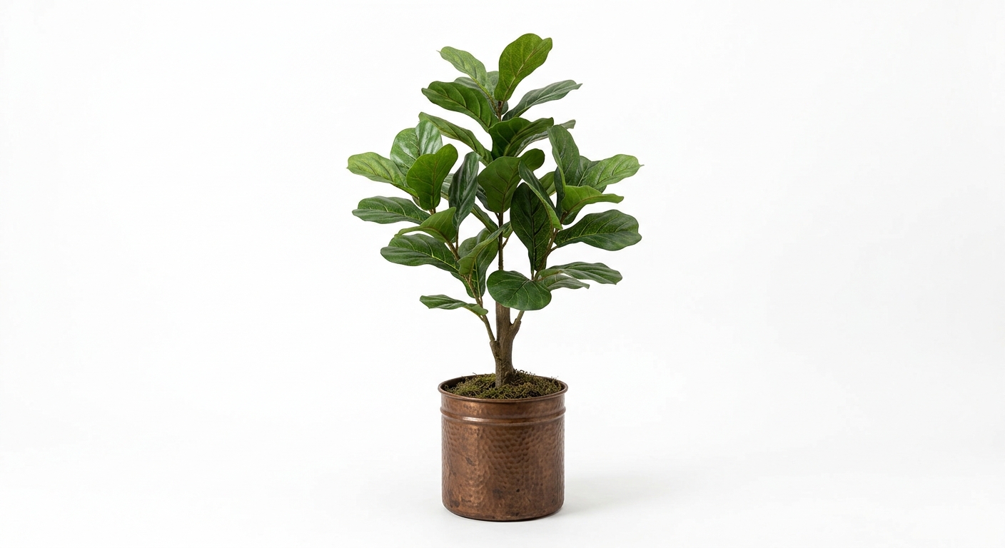Warm floor plant (Brown Metal)